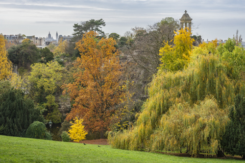Butte Bergeyre et Buttes-Chaumont