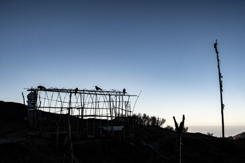 Laurent VERRIER - Contre-jour