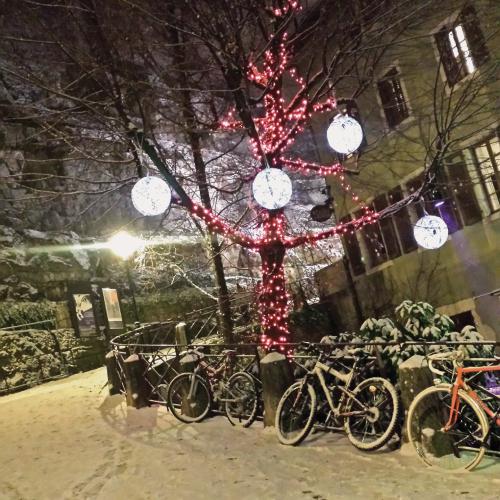 Anne-Marie Varin : (sans titre)