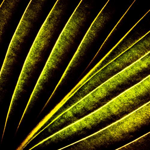 Bastien MILANESE : Hostabstraction