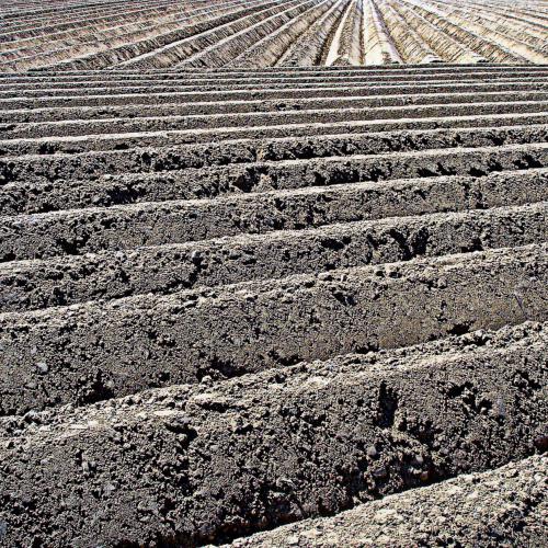 Pascale WOUTS : Le plat pays