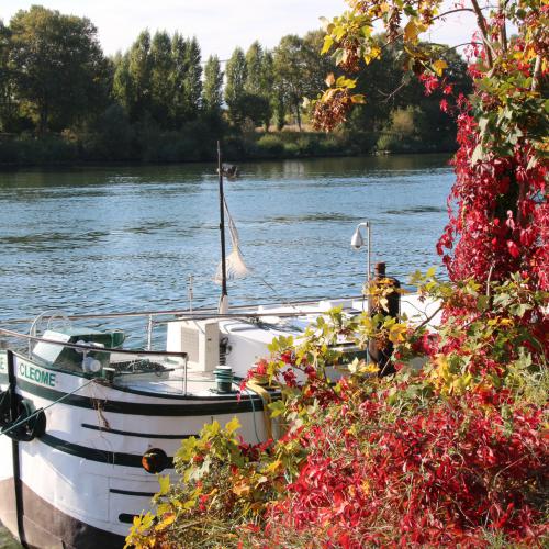 Bernard DELBOUIS : Conflans