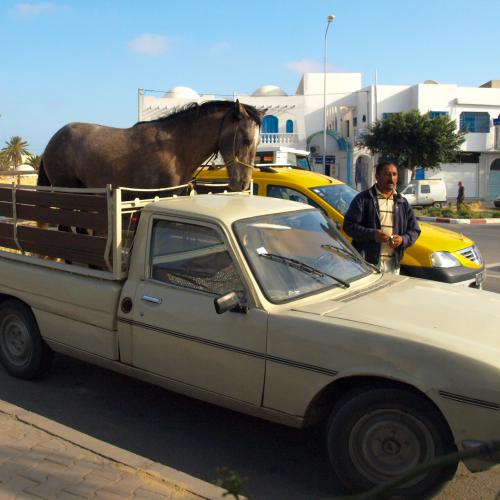 Catherine GAUCHEY : Deux en un