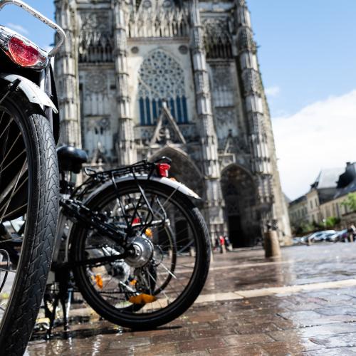 Mohamed BARKA : Ca résiste... (Cathédrale Saint-Gatien - Tours)