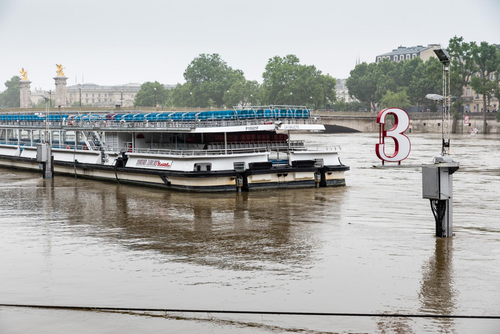 Dominique Potevin : Inondations Paris 2016 - 9