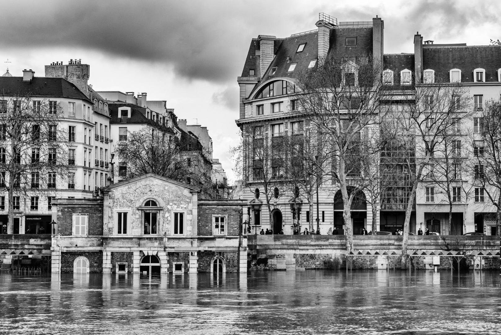 Dominique Potevin : Inondations Paris 2018 - 2