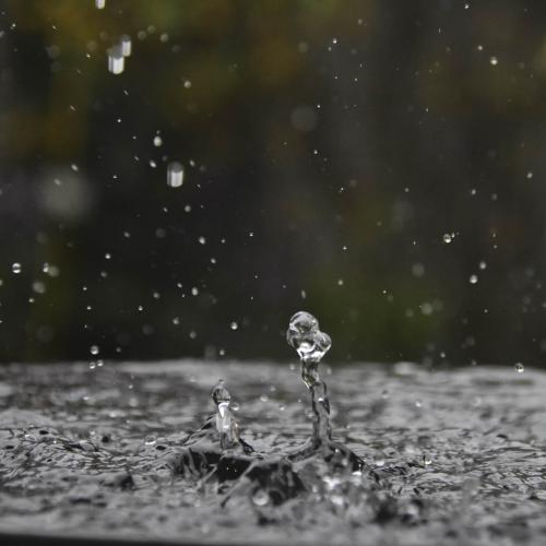 Brigitte FRUITIER - Danse de la pluie