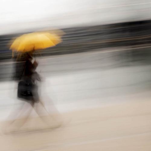 Laurent VERRIER - Couleur sur temps gris