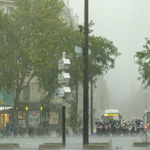 Sylvie ROSOVSKY - Averse sur Montparnasse (Paris)