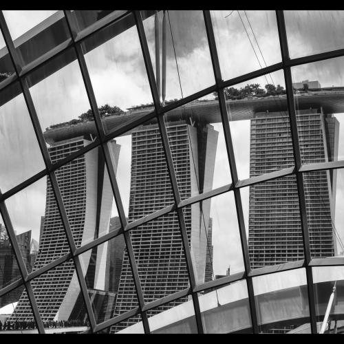 Denis CHAUVEAU - Flower Dôme (Singapour)