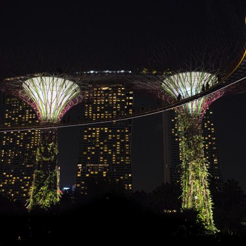 Denis CHAUVEAU - Super trees (Singapour)