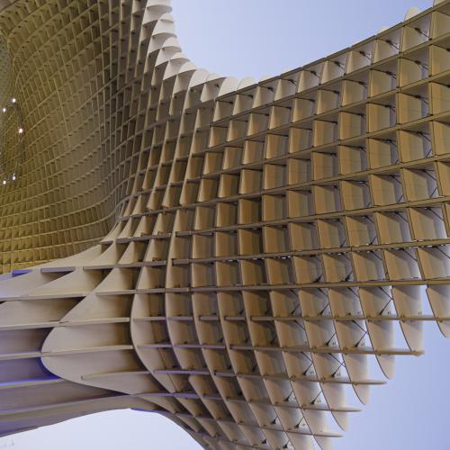 Michel BALOCHE - Champignon (Séville)