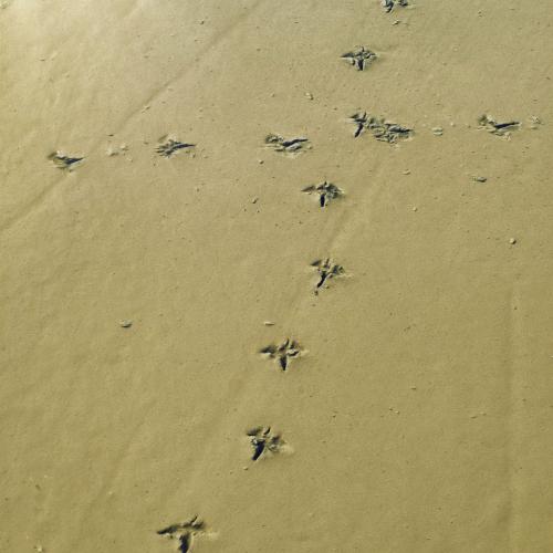 Eric GIBAULT : Croisée des chemins