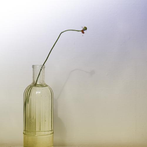 Jean-Pierre EVEN : Le jour d'après