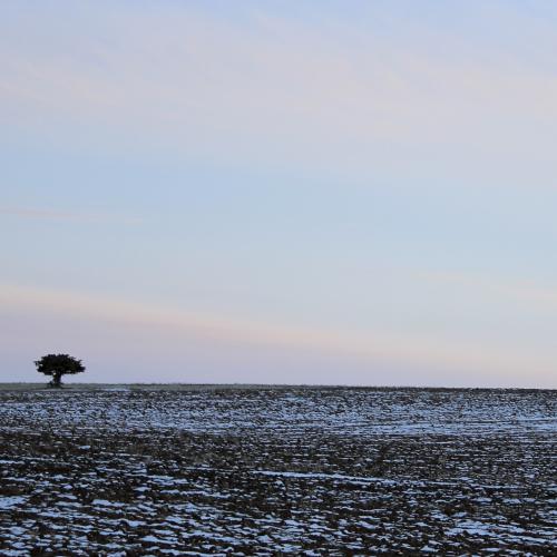 Marie TOKBILGIN : Solitude
