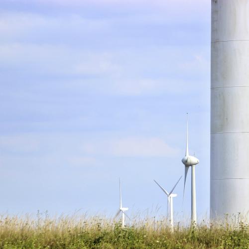 Marie TOKBILGIN : Air frais