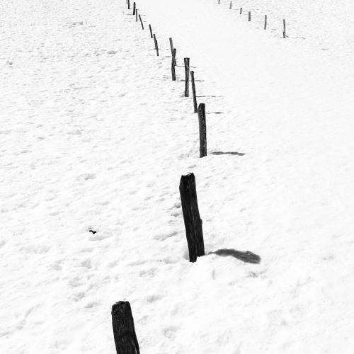 Michel BALOCHE : Chemin balisé