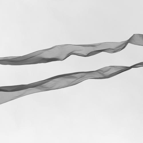 Thierry DELCROIX : Envoilez moi