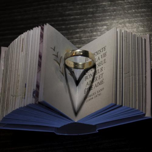 Michel HAASZ : Le bonheur d'aimer