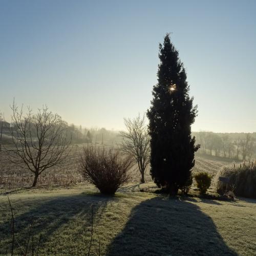 Serge DOUBRE : Campagne au lever du jou