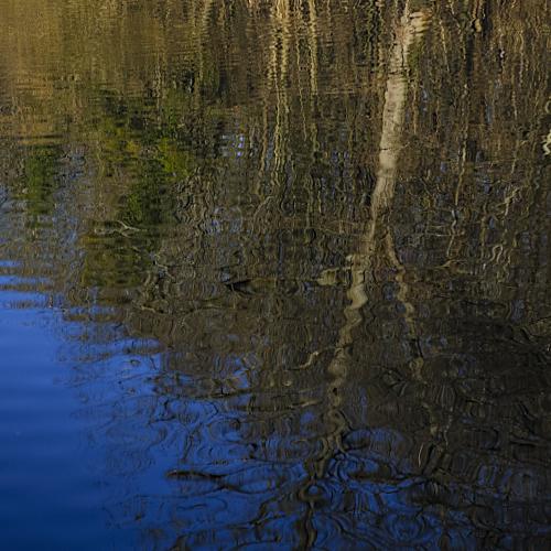 Alain LANCOU - Etang Marie