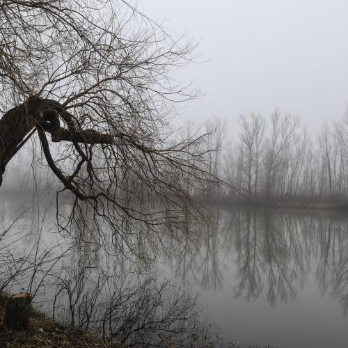 Françoise MONTAUD - Dicosa 1 (Tarn)