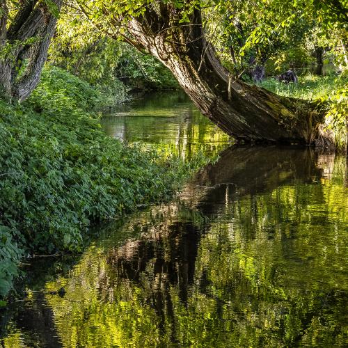 Michel BALOCHE - Sur l'eau