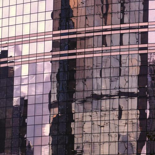 Valérie PRONIER - La vie en rose