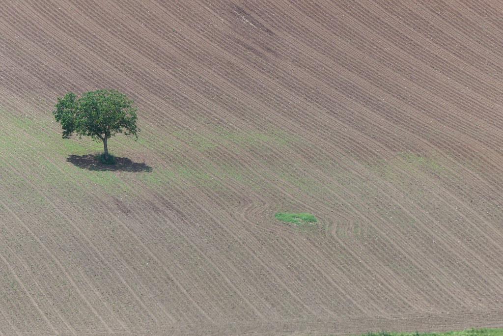 Ou comment rompre la monotonie