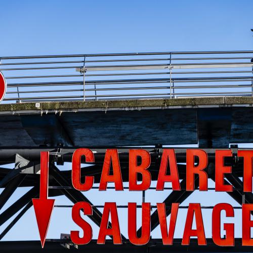 Dominique POTEVIN - Cabaret sauvage (Paris-La Villette)