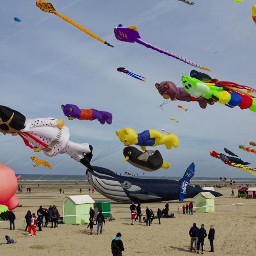 Michel HAASZ - Cerfs-volants