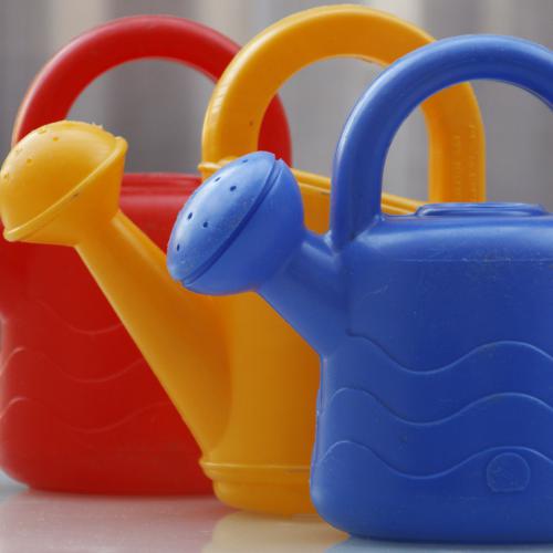 Michel HAASZ - Trois arrosoirs