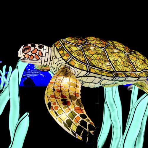 Robert PARATRE - Le voyage