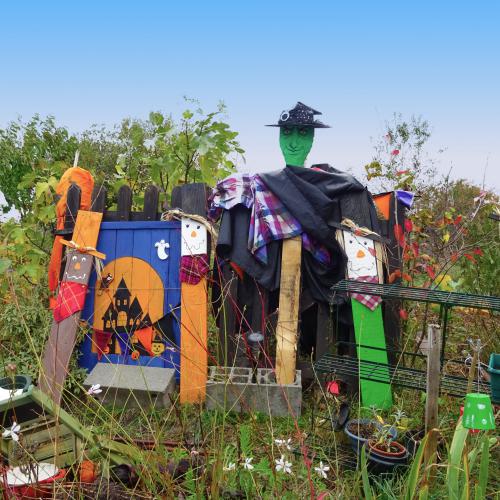 Serge DOUBRE - Les épouvantails