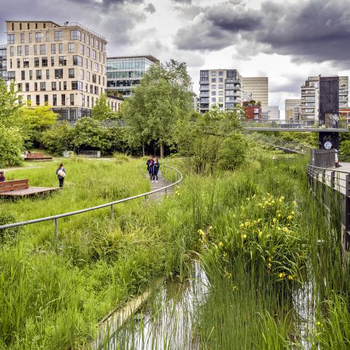 Dominique POTEVIN - Jardins des grands moulins (Paris 13ème)