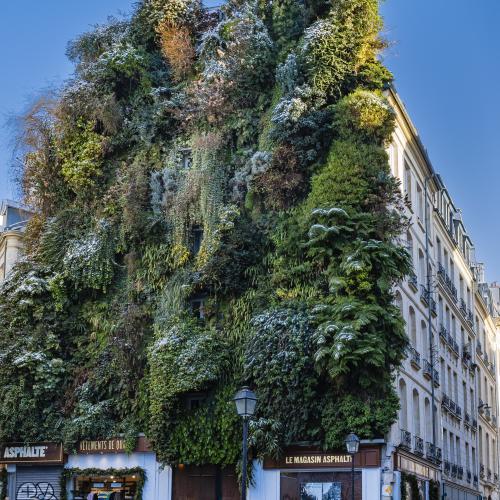 Dominique POTEVIN - Oasis d'Aboukir (Paris 2ème)