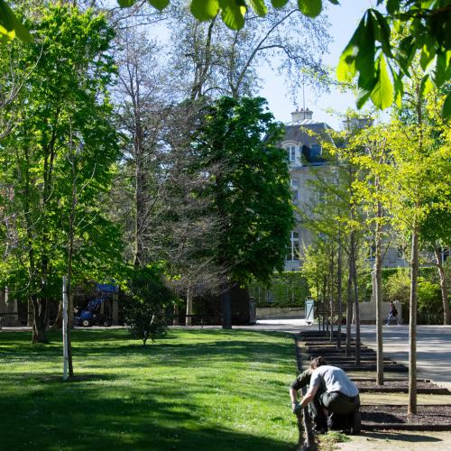 Isabelle GRANIER - Les jardiniers du parc du Luxembourg