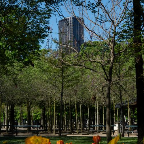 Isabelle GRANIER - La Tour Montparnasse et sa nature