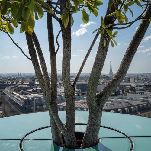 Jean-Pierre EVEN - Terrasse parisienne