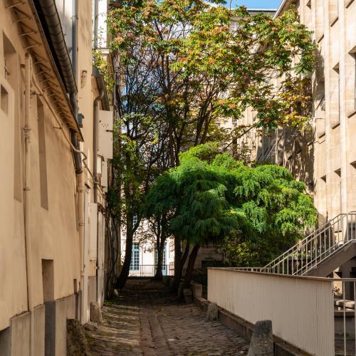 Michel LE ROUX - L’arbre du milieu