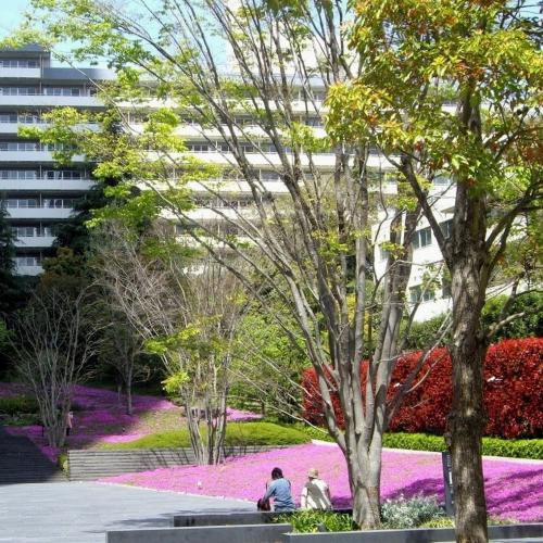 Pierre TRAN VAN NHIEU - Un des quartiers de Tokyo