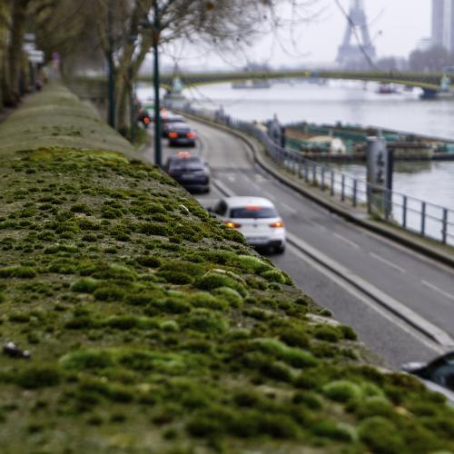 Yannick LE FLOCH - Bords de Seine